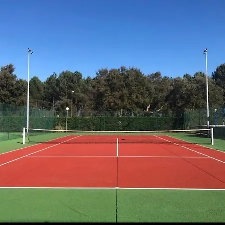 Maison Terrasse 2 Pers Les Du Tennis Mini Golf Soustons